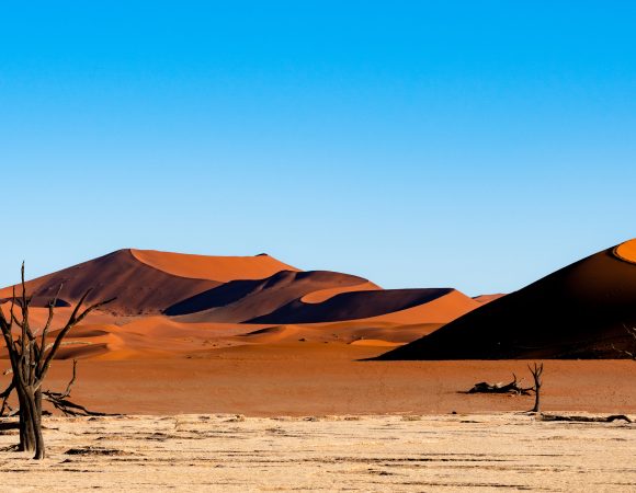 Discover the Wonders of Namibia