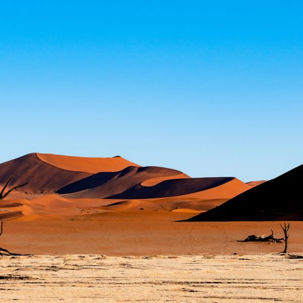 Discover the Wonders of Namibia